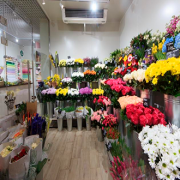 Закончен капитальный ремонт салона по продаже цветов в Солнцево по адресу ул.Производственная,10 ,корпус 2 (75м2 по полу) г. Москва
